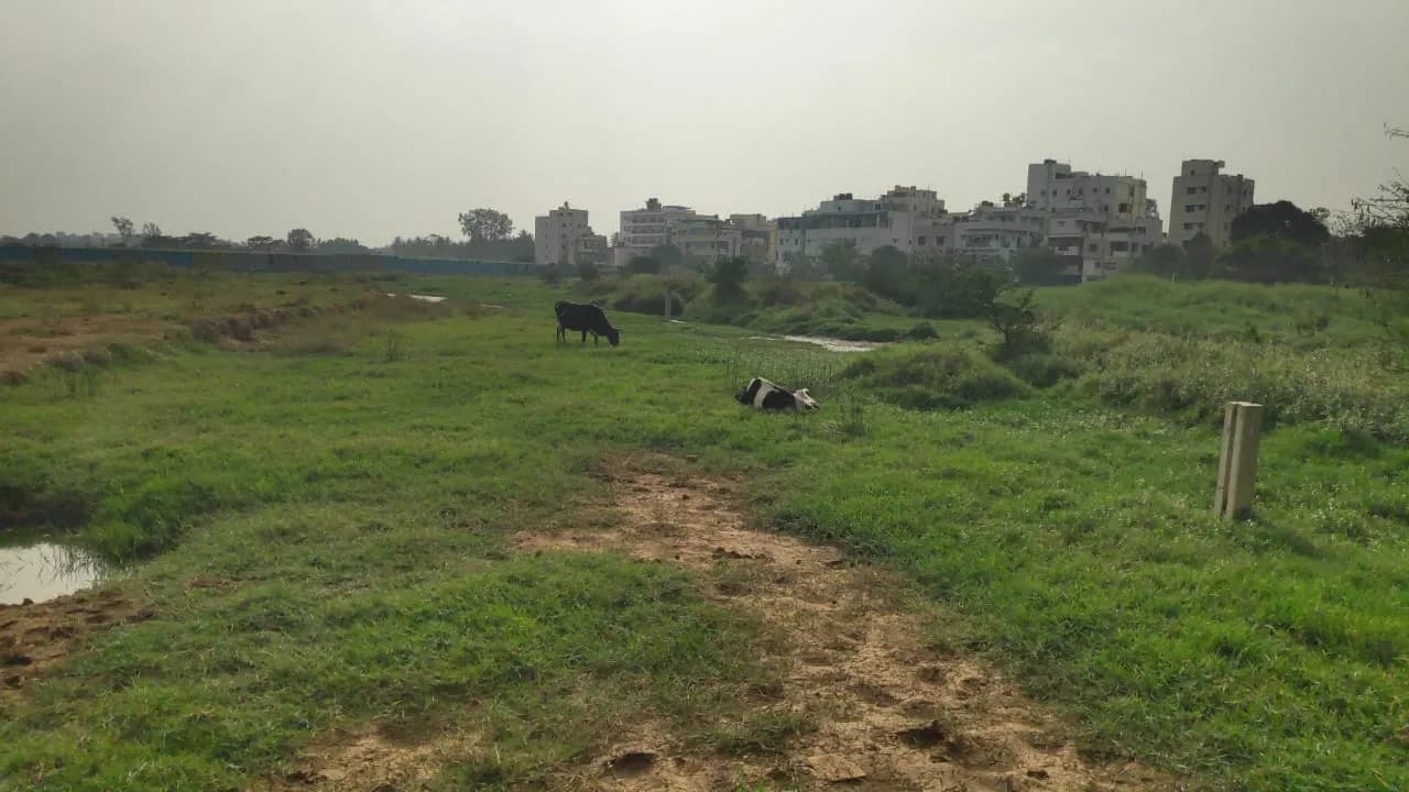 Cielo at Brigade Valencia: Site photo filed with Karnataka RERA