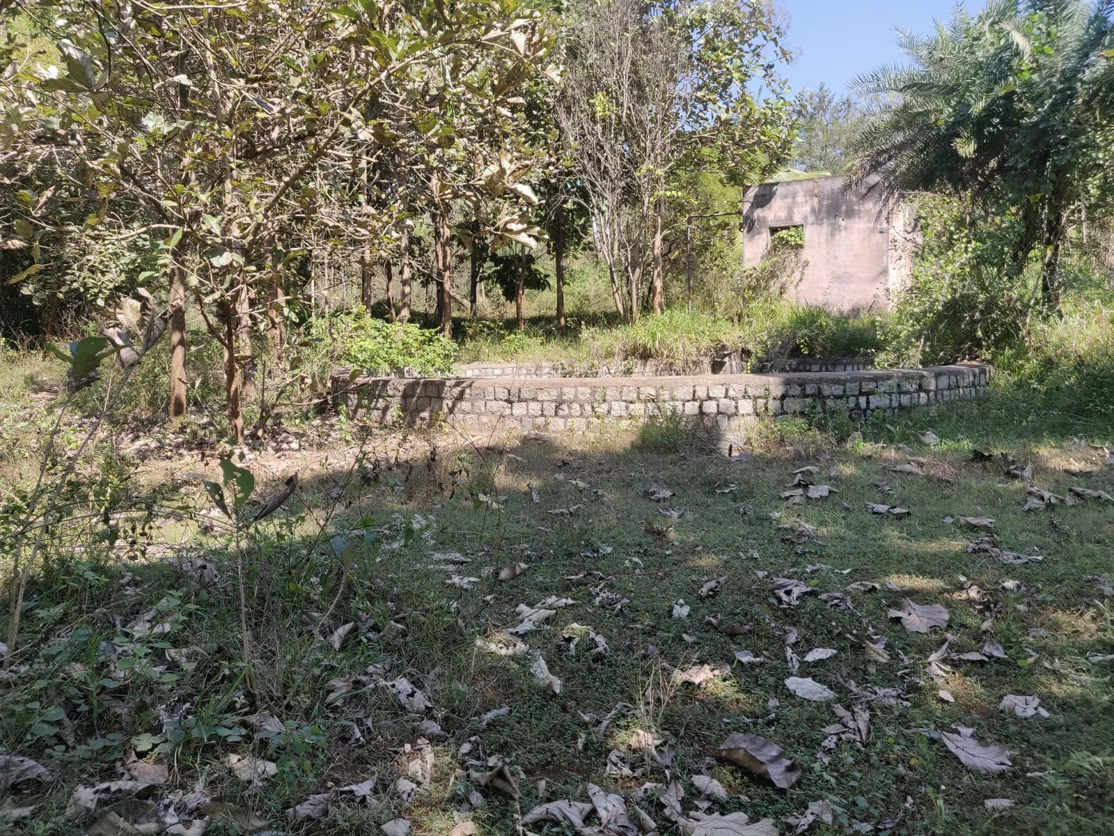 Paradise On Earth: Site photo filed with Karnataka RERA