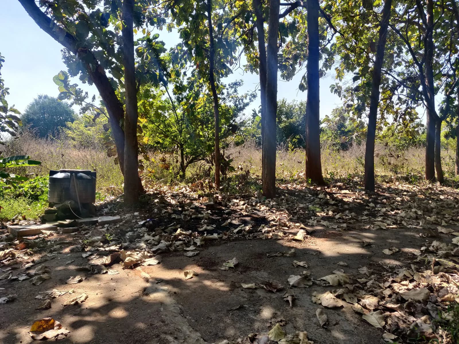 Paradise On Earth: Site photo filed with Karnataka RERA