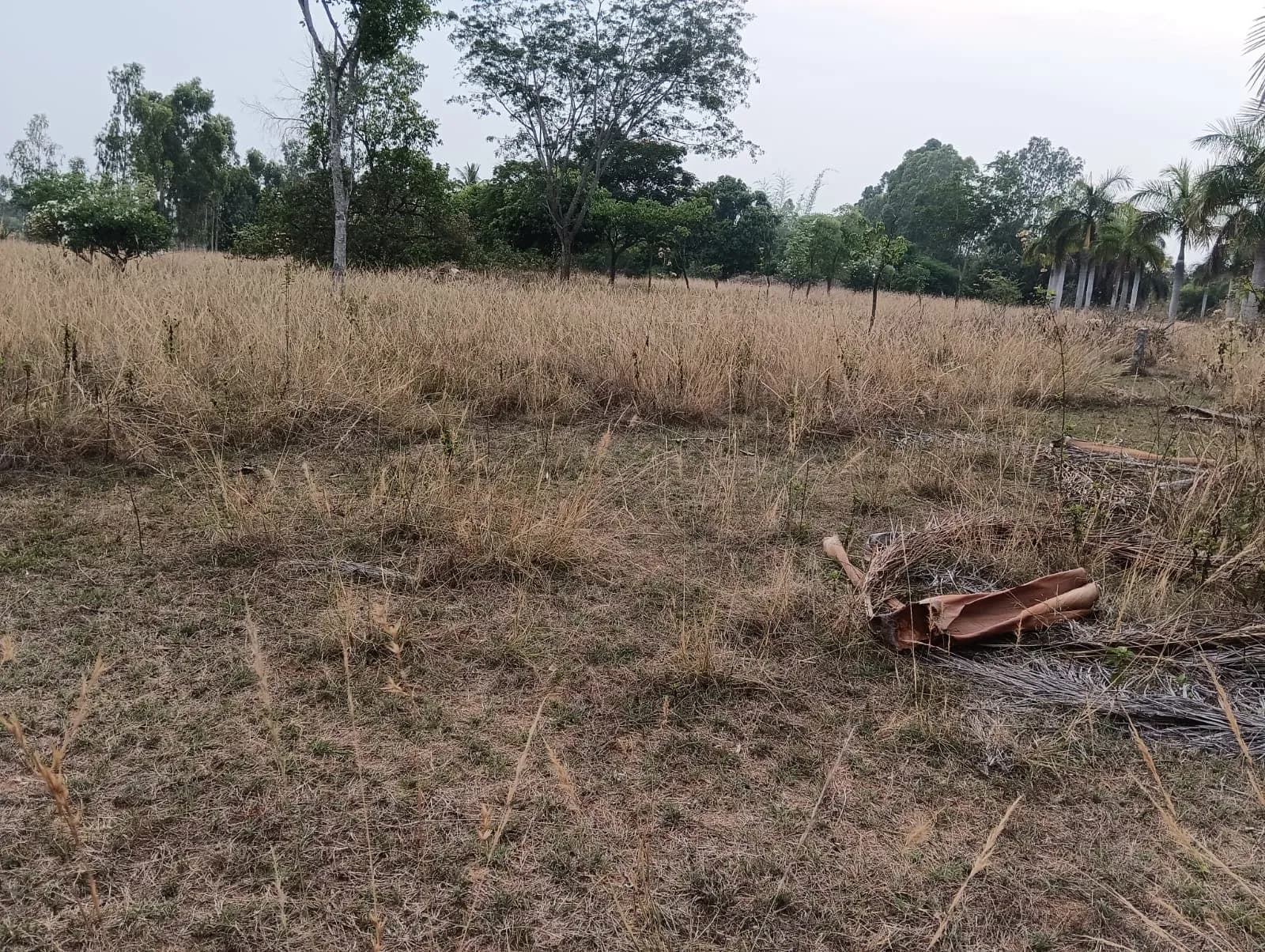 The Earth: Site photo filed with Karnataka RERA