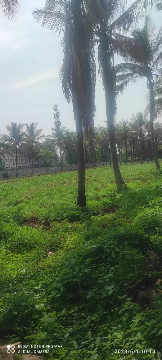Gina Artize: Site photo filed with Karnataka RERA