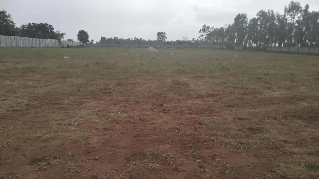 CoEvolve Florenza: Site photo filed with Karnataka RERA