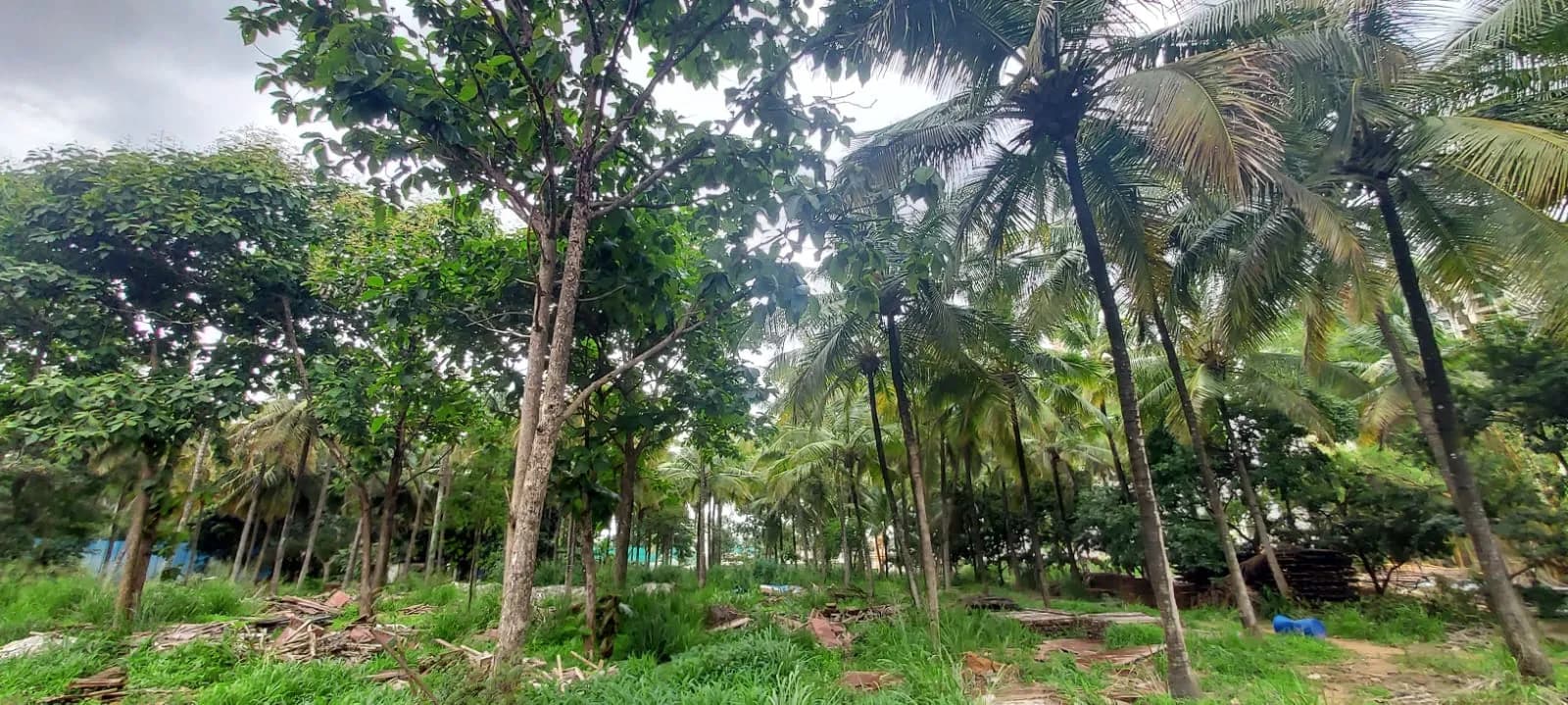 Folium By Sumadhura: Site photo filed with Karnataka RERA