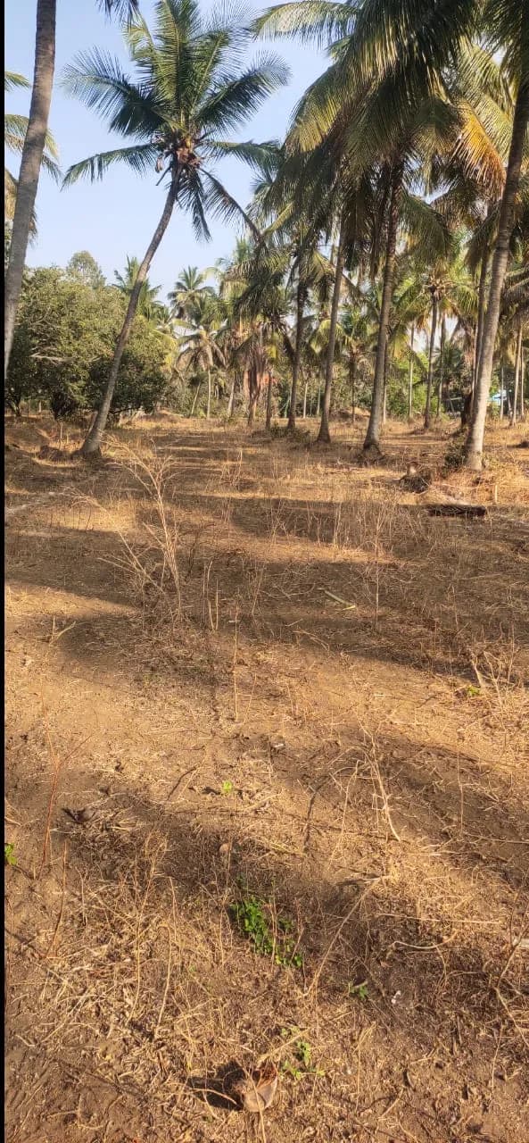Concorde Opus II: Site photo filed with Karnataka RERA