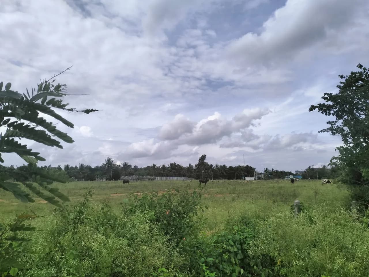 Villa Bellissimo: Site photo filed with Karnataka RERA