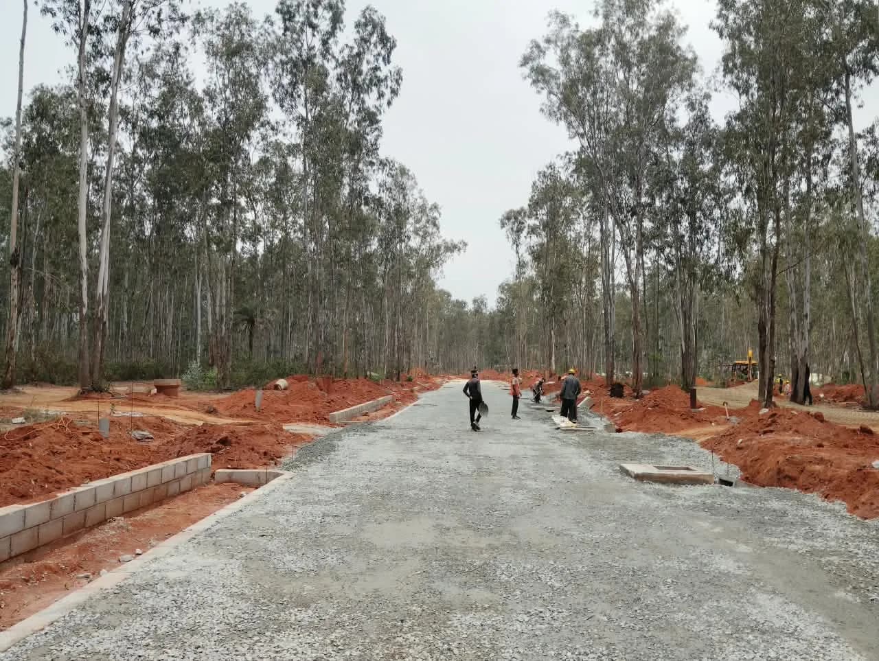 Tangled Up In Green: Site photo filed with Karnataka RERA