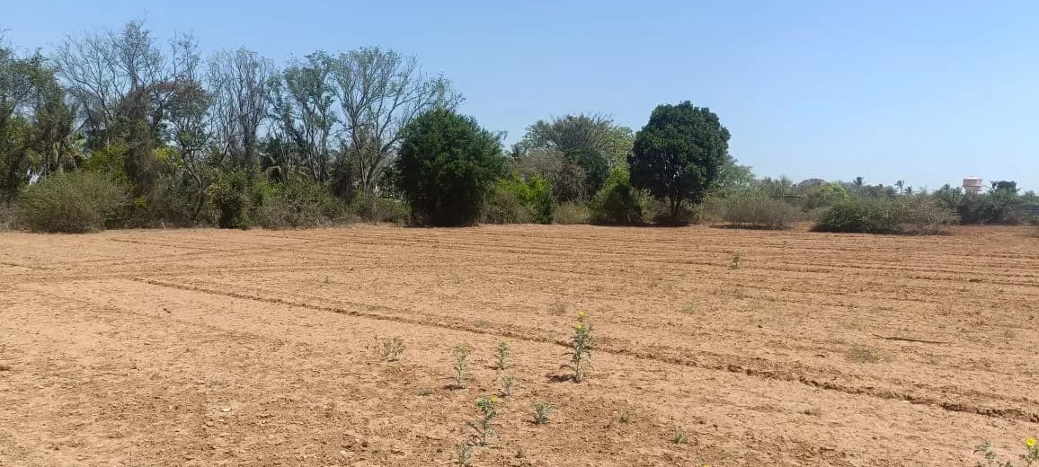 KNS Anagha Phase - II: Site photo filed with Karnataka RERA
