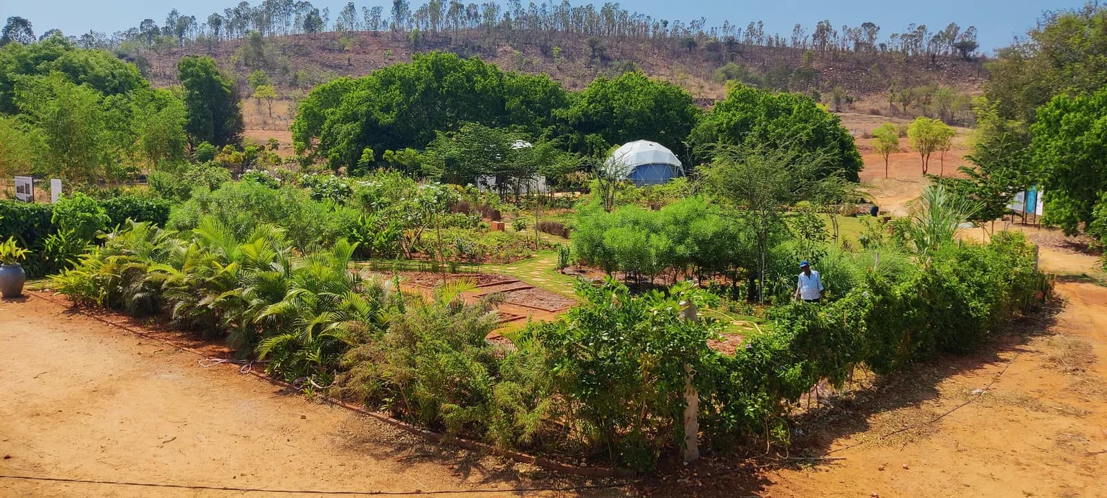 Rewild Doddaballapura: Site photo filed with Karnataka RERA