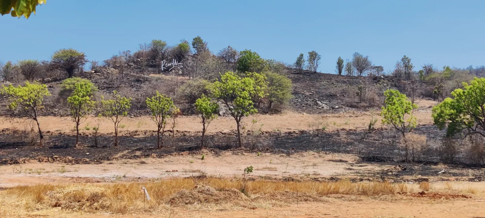 Rewild Doddaballapura: Site photo filed with Karnataka RERA