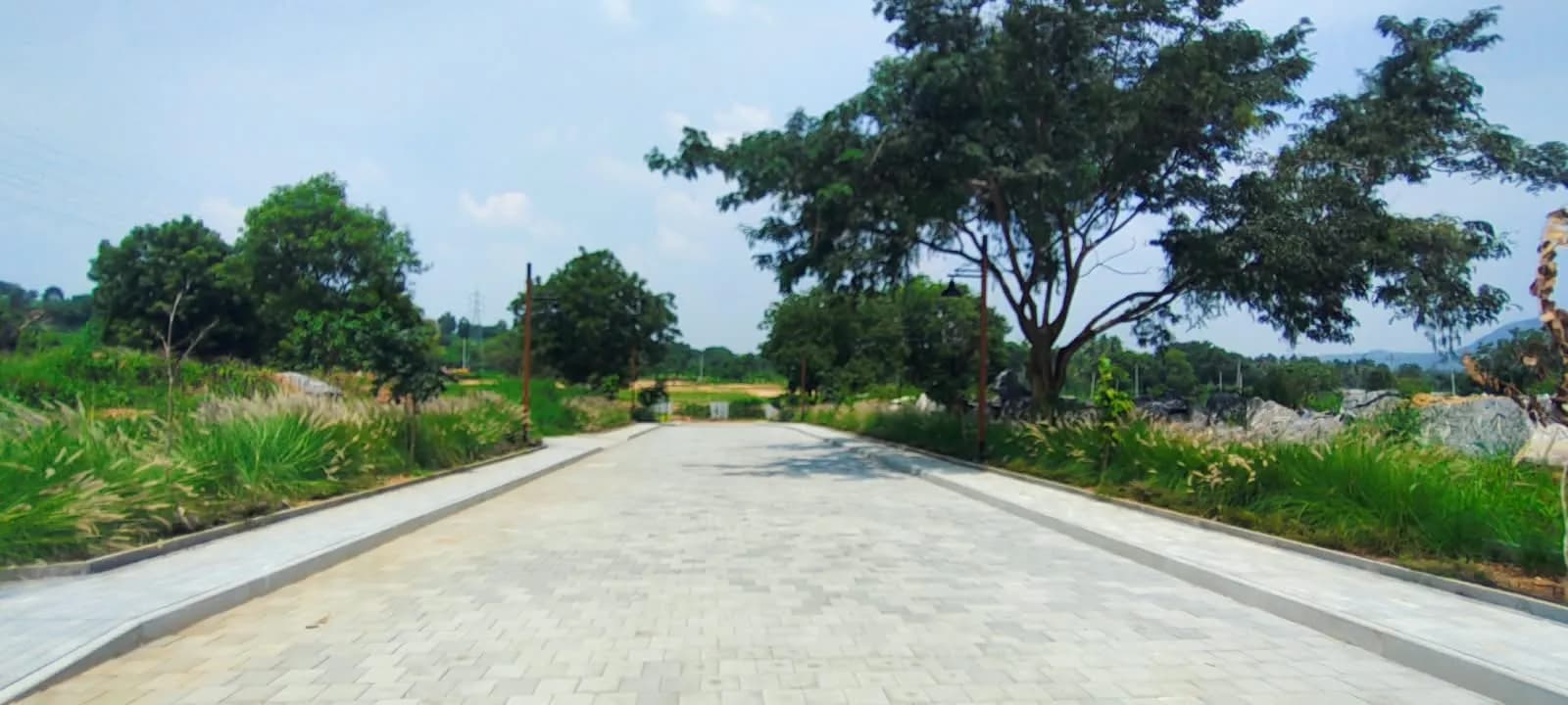 Rewild Doddaballapura: Site photo filed with Karnataka RERA