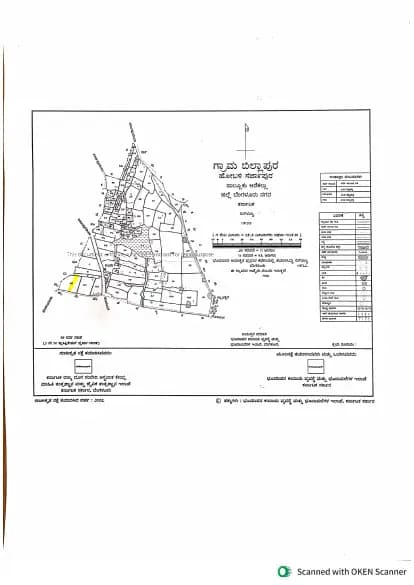 RRL Palacio: Village Map Demarcation.pdf (filed with Karnataka RERA)