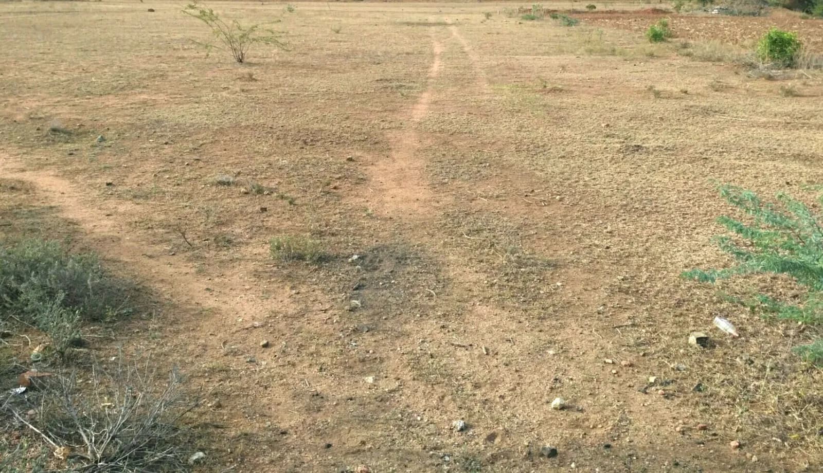 Merusri Swamy Orchards: Site photo filed with Karnataka RERA