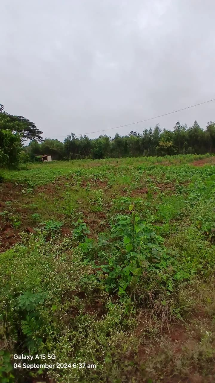Oasis Lakeview Residency: Site photo filed with Karnataka RERA
