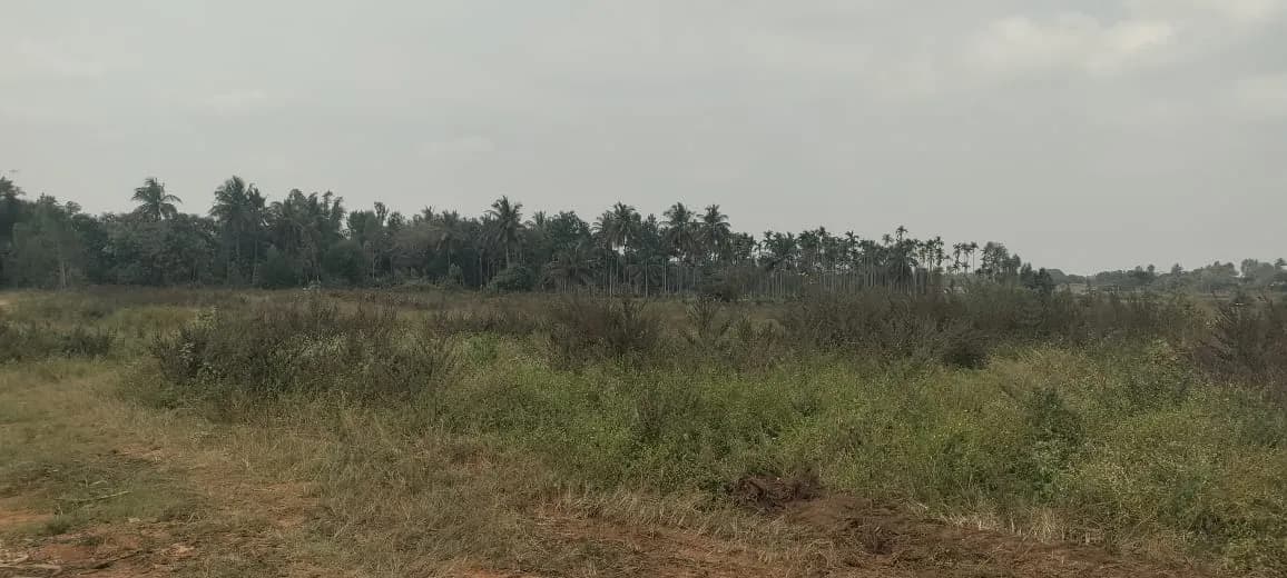 KNS Samooha Phase III: Site photo filed with Karnataka RERA
