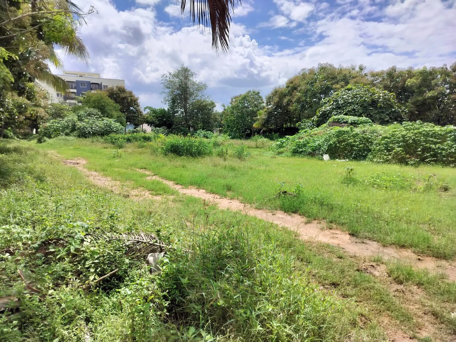 Mana Cresta: Site photo filed with Karnataka RERA