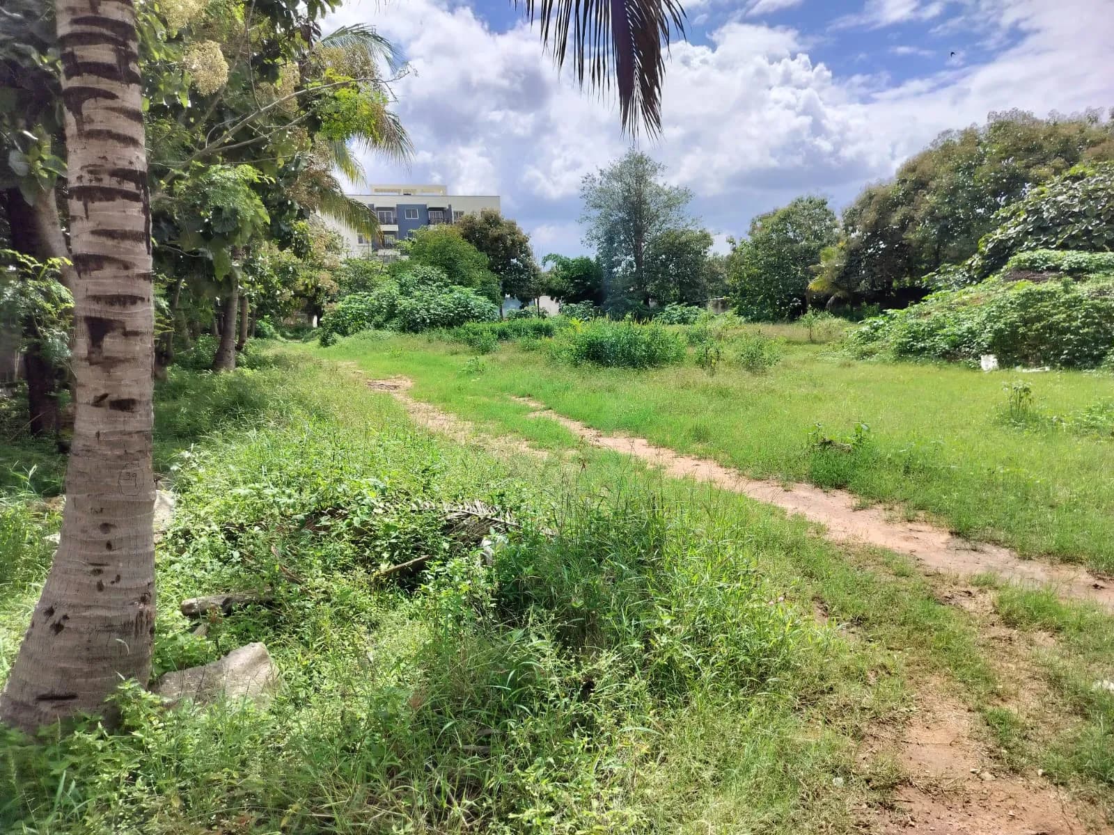 Mana Cresta: Site photo filed with Karnataka RERA