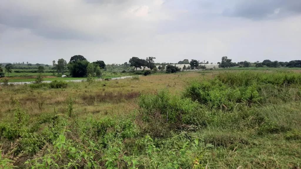 Chartered Birdsong: Site photo filed with Karnataka RERA