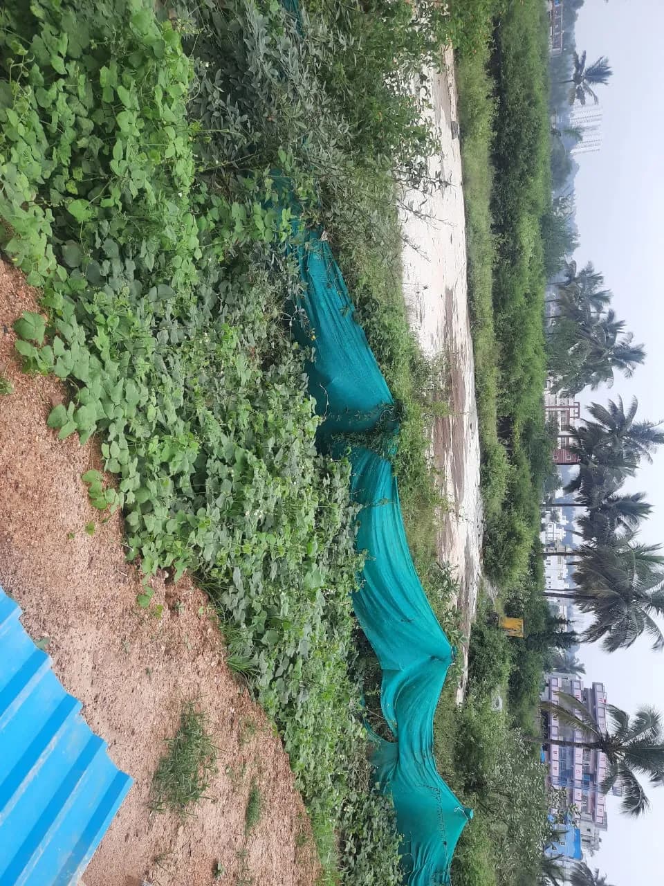 Mana Vista: Site photo filed with Karnataka RERA