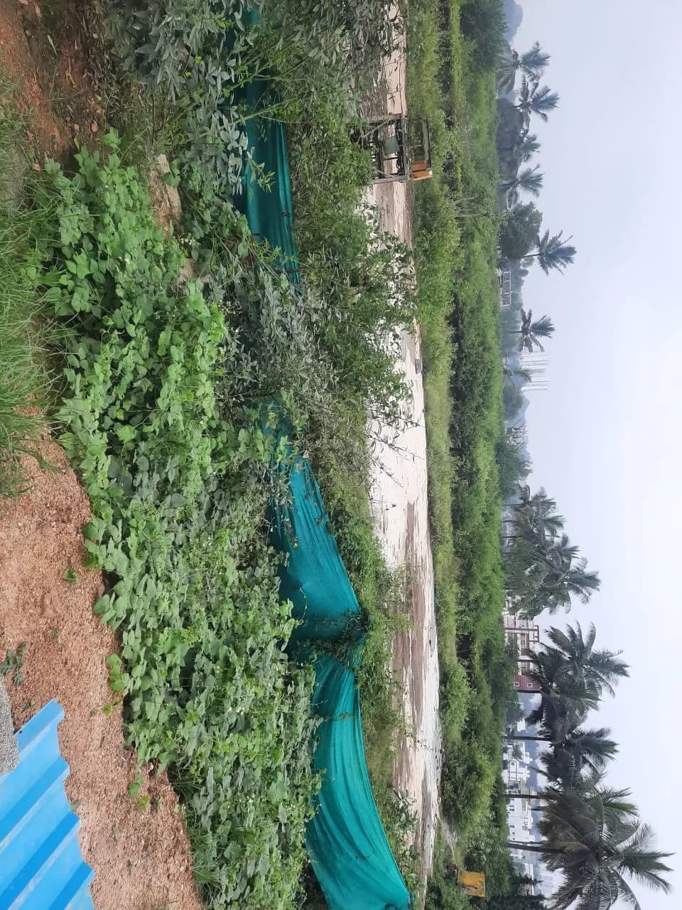 Mana Vista: Site photo filed with Karnataka RERA