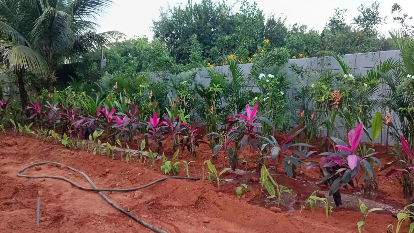 Hillcrest Haven: Site photo filed with Karnataka RERA