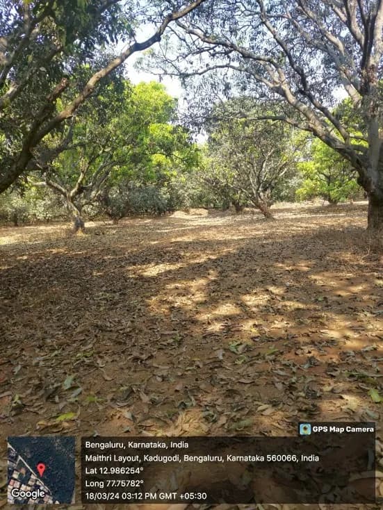 Cloud Forest: Site photo filed with Karnataka RERA