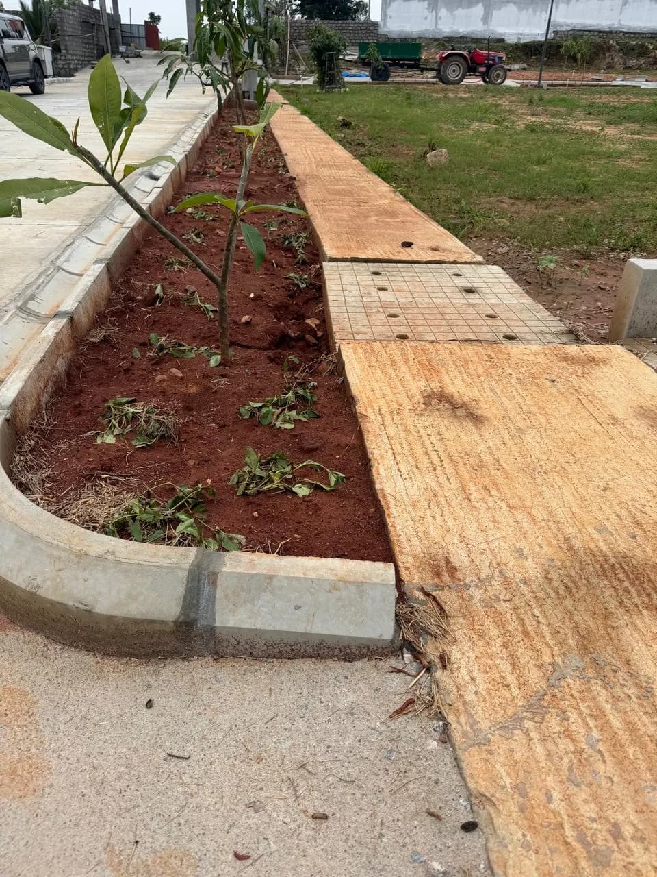 Under The Mango Tree: Site photo filed with Karnataka RERA