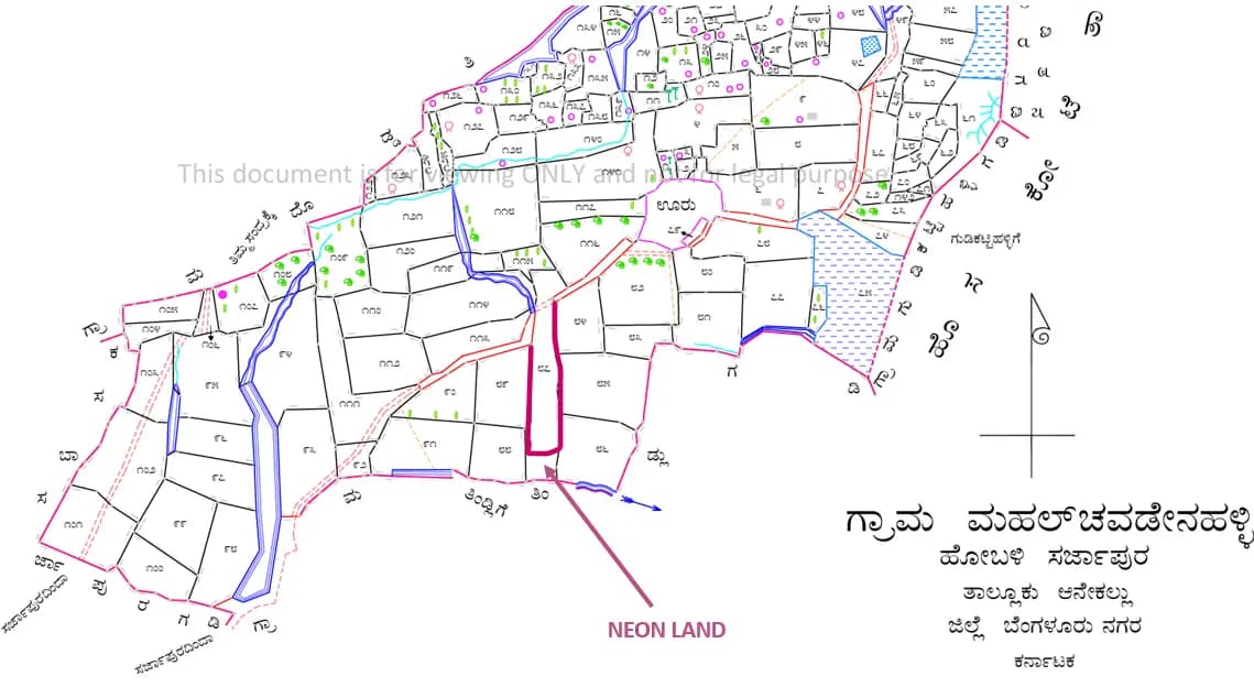Neon: VILLAGE_MAP_DEMARCATION.png (filed with Karnataka RERA)