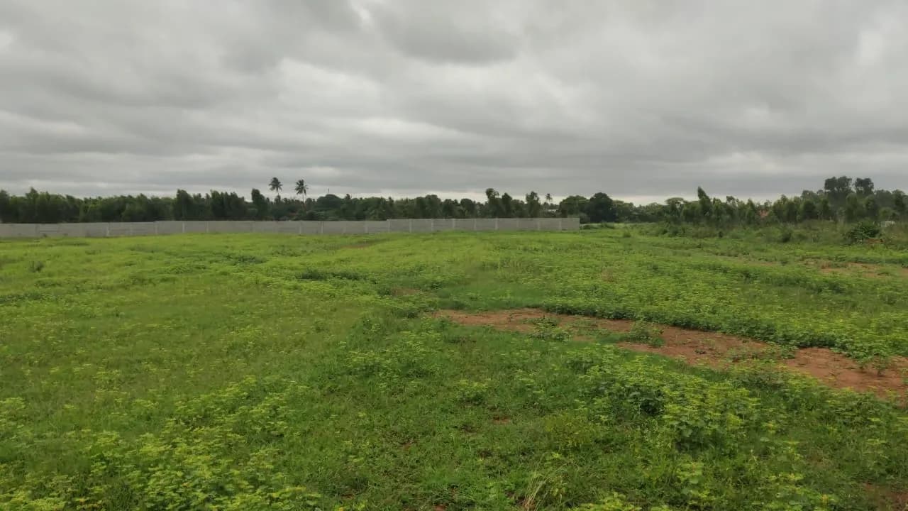 The Berries for Birds by Sanjeevini Srushti: Site photo filed with Karnataka RERA