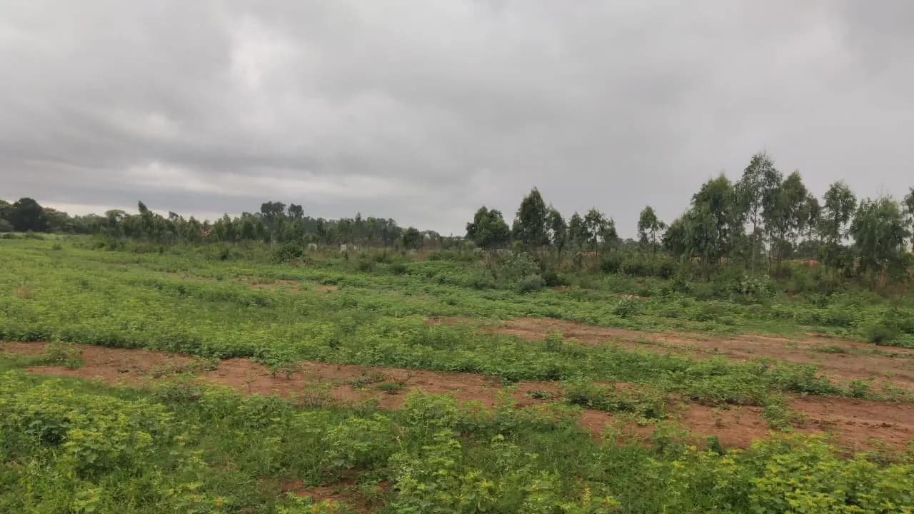 The Berries for Birds by Sanjeevini Srushti: Site photo filed with Karnataka RERA