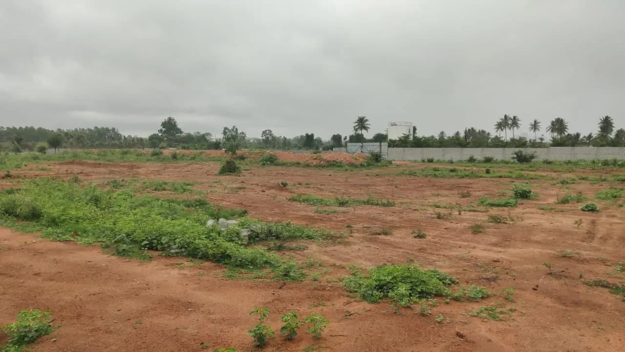 The Berries for Birds by Sanjeevini Srushti: Site photo filed with Karnataka RERA