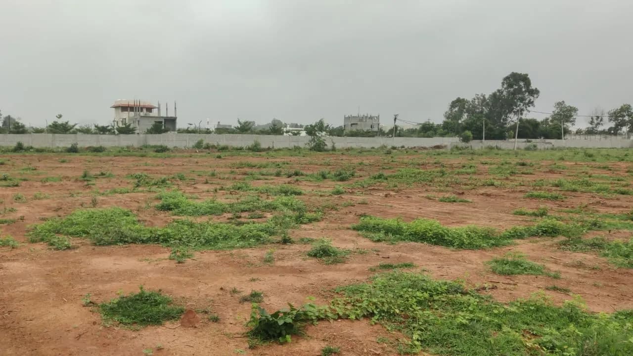 The Berries for Birds by Sanjeevini Srushti: Site photo filed with Karnataka RERA