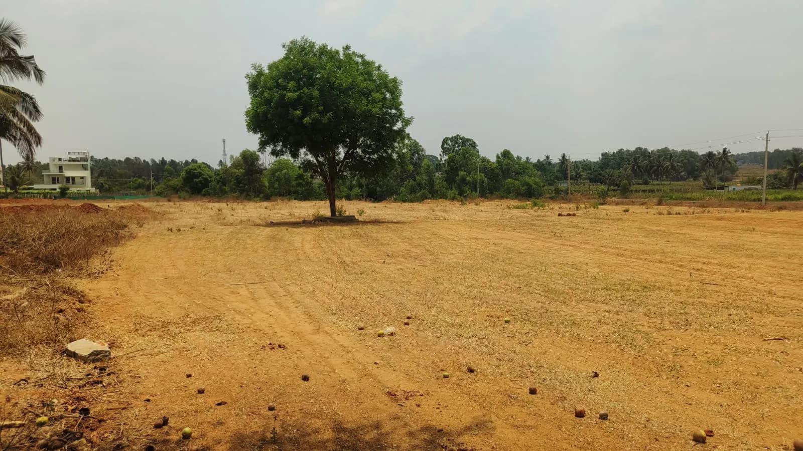 Lake Botanica: Site photo filed with Karnataka RERA