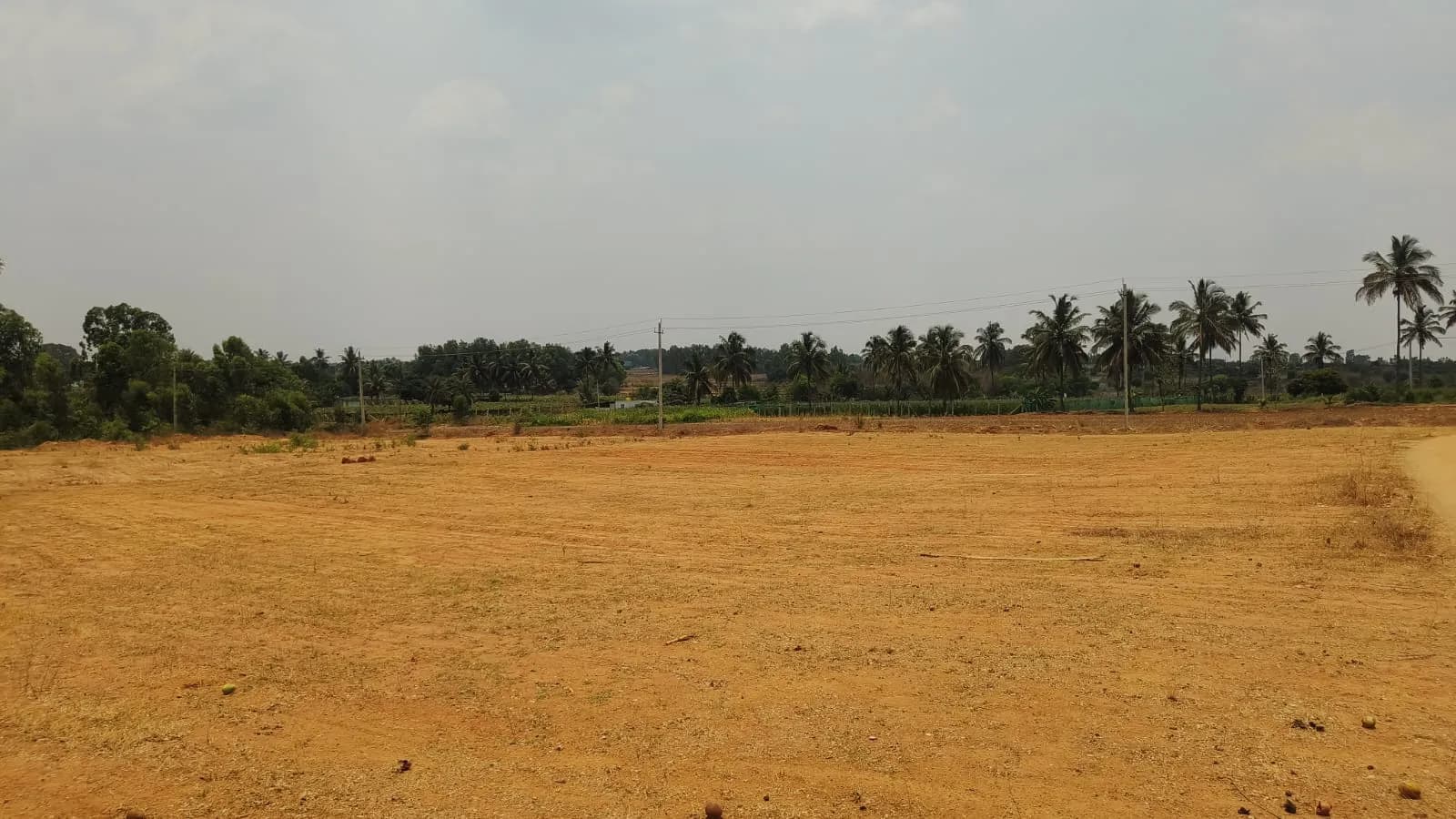 Lake Botanica: Site photo filed with Karnataka RERA