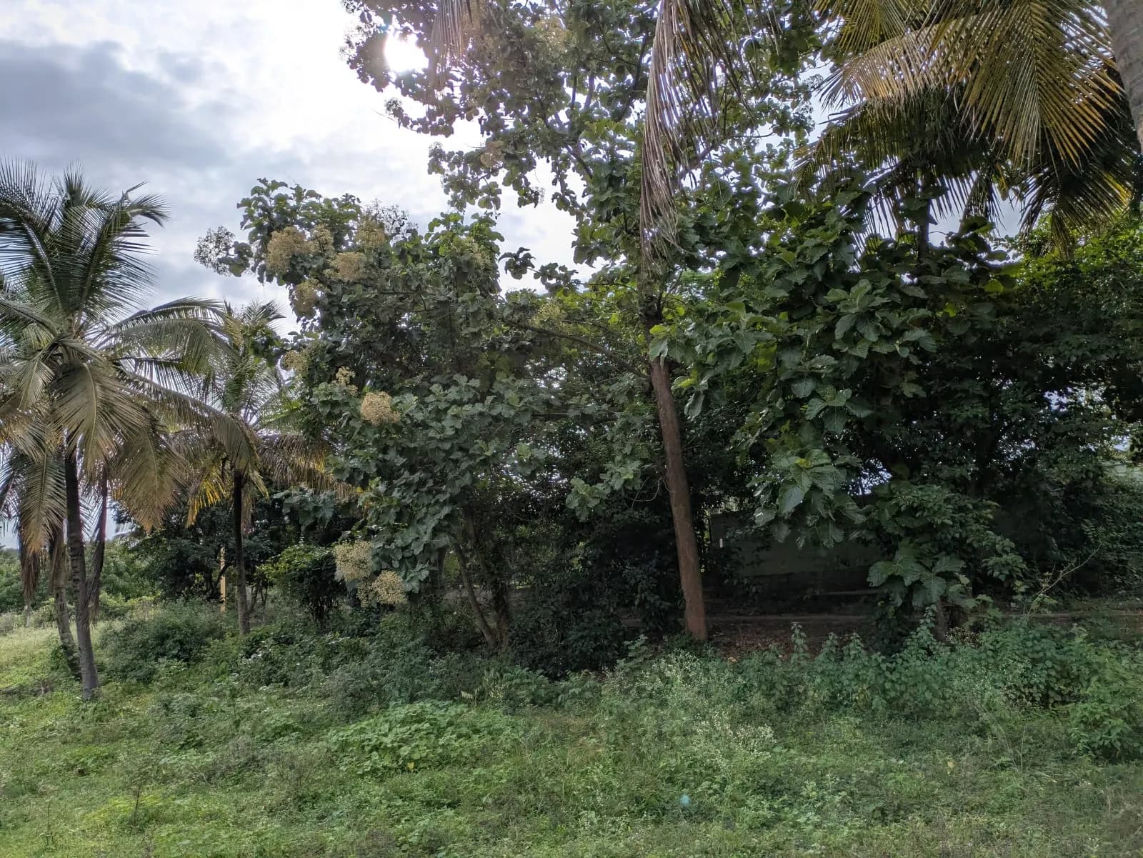 KNS Unnati Phase V: Site photo filed with Karnataka RERA