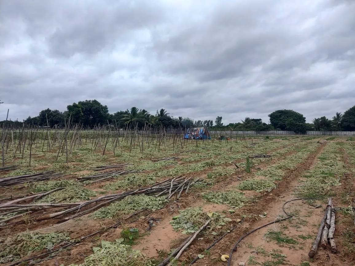 KNS Aura: Site photo filed with Karnataka RERA