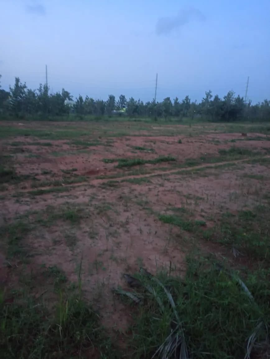 Prestige Crystal Lawns: Site photo filed with Karnataka RERA