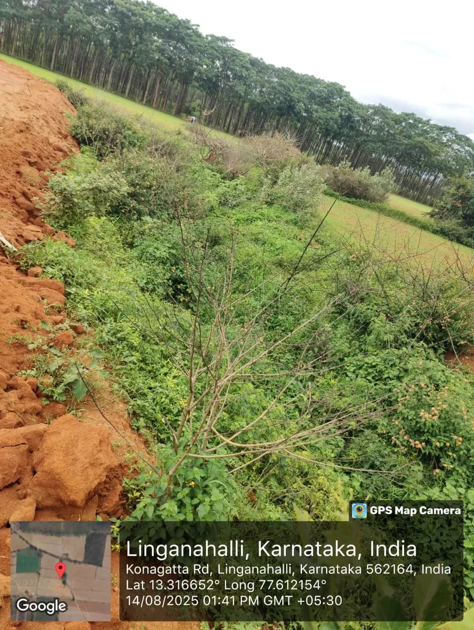 Nexfield: Site photo filed with Karnataka RERA