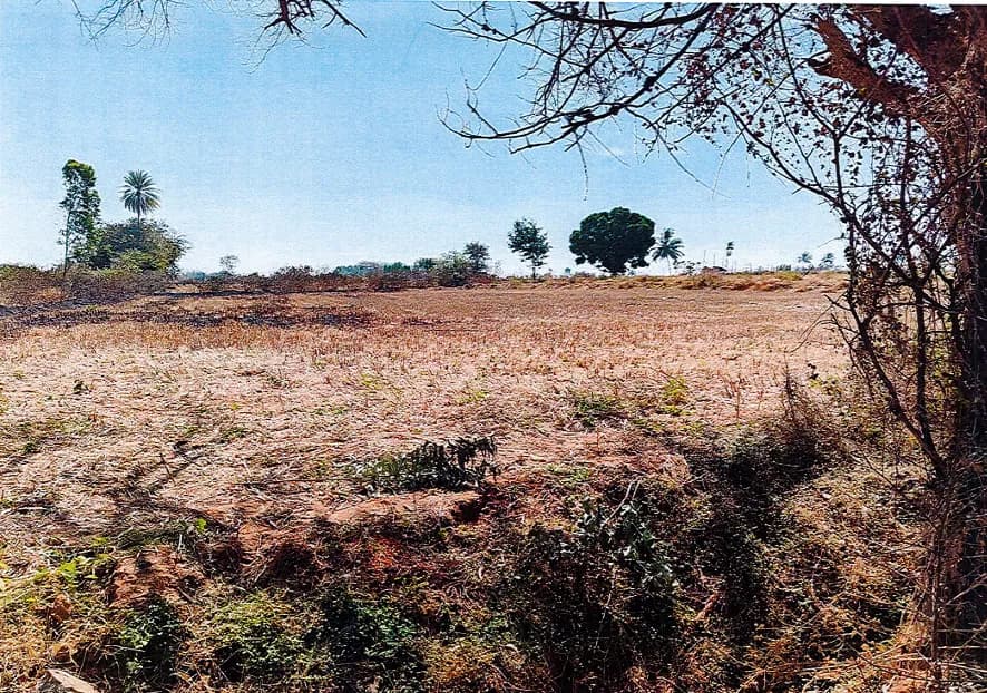 Nexfield: Site photo filed with Karnataka RERA