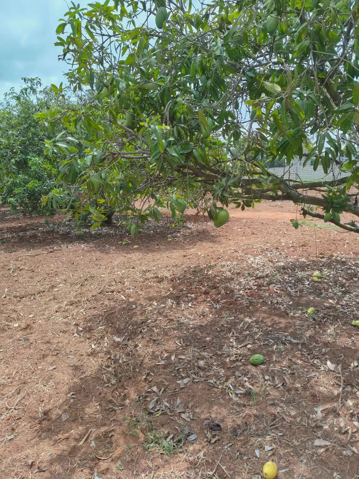 Def Col-Peace Haven: Site photo filed with Karnataka RERA