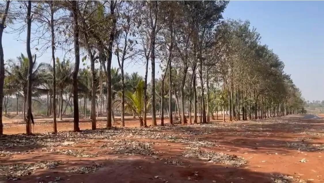 Earth Soul: Site photo filed with Karnataka RERA