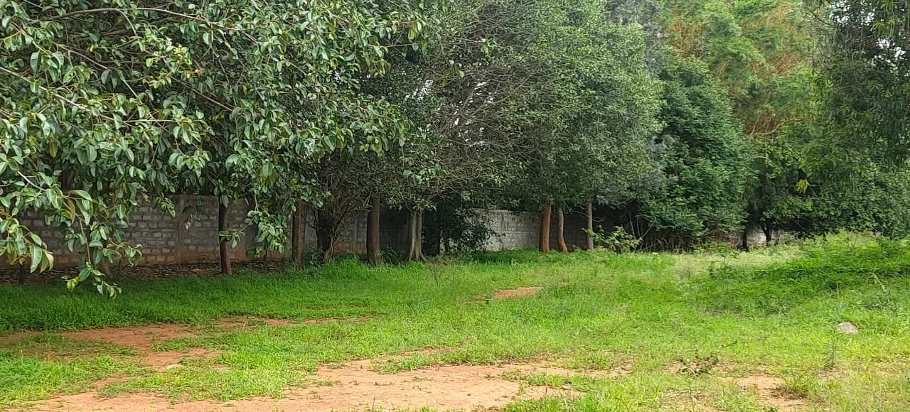 Kumar Palazzio: Site photo filed with Karnataka RERA