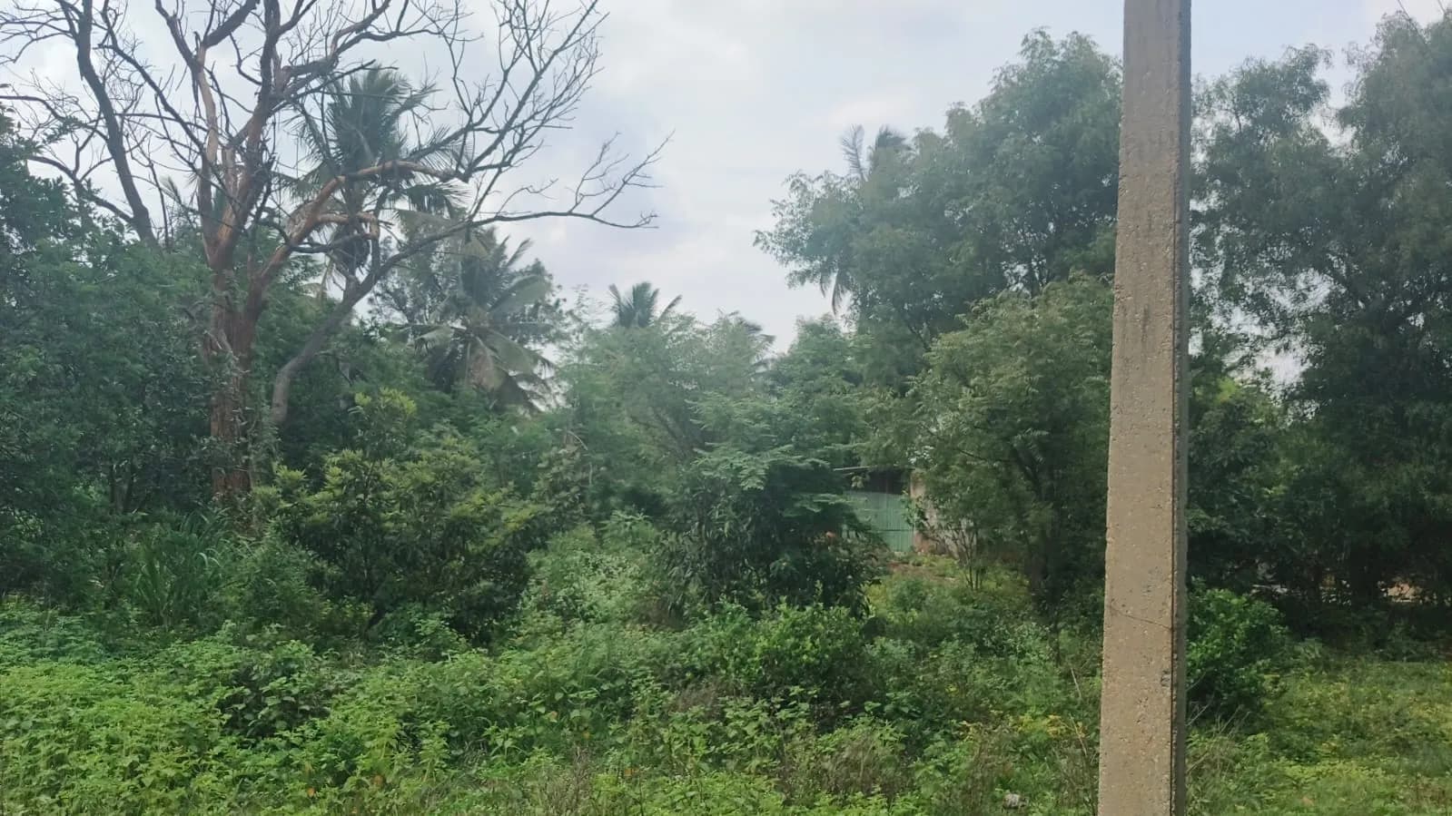 Fortius Good Earth: Site photo filed with Karnataka RERA