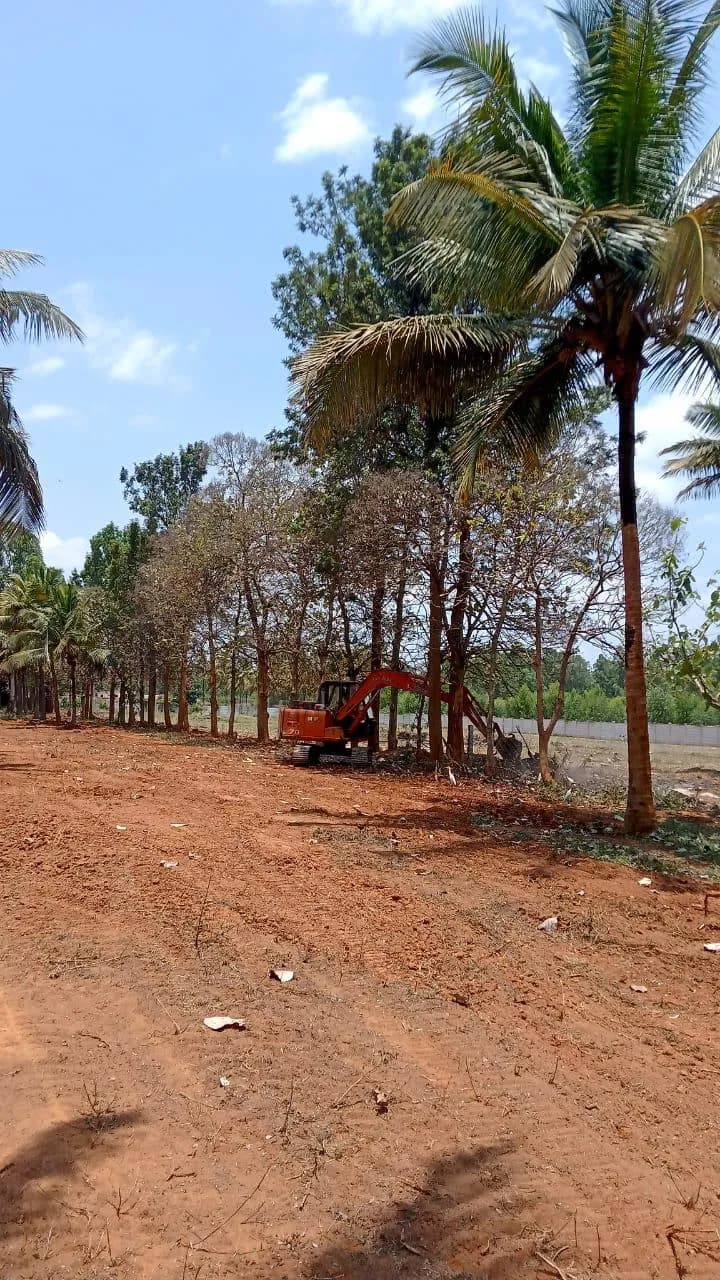 Fresh as a Daisy: Site photo filed with Karnataka RERA