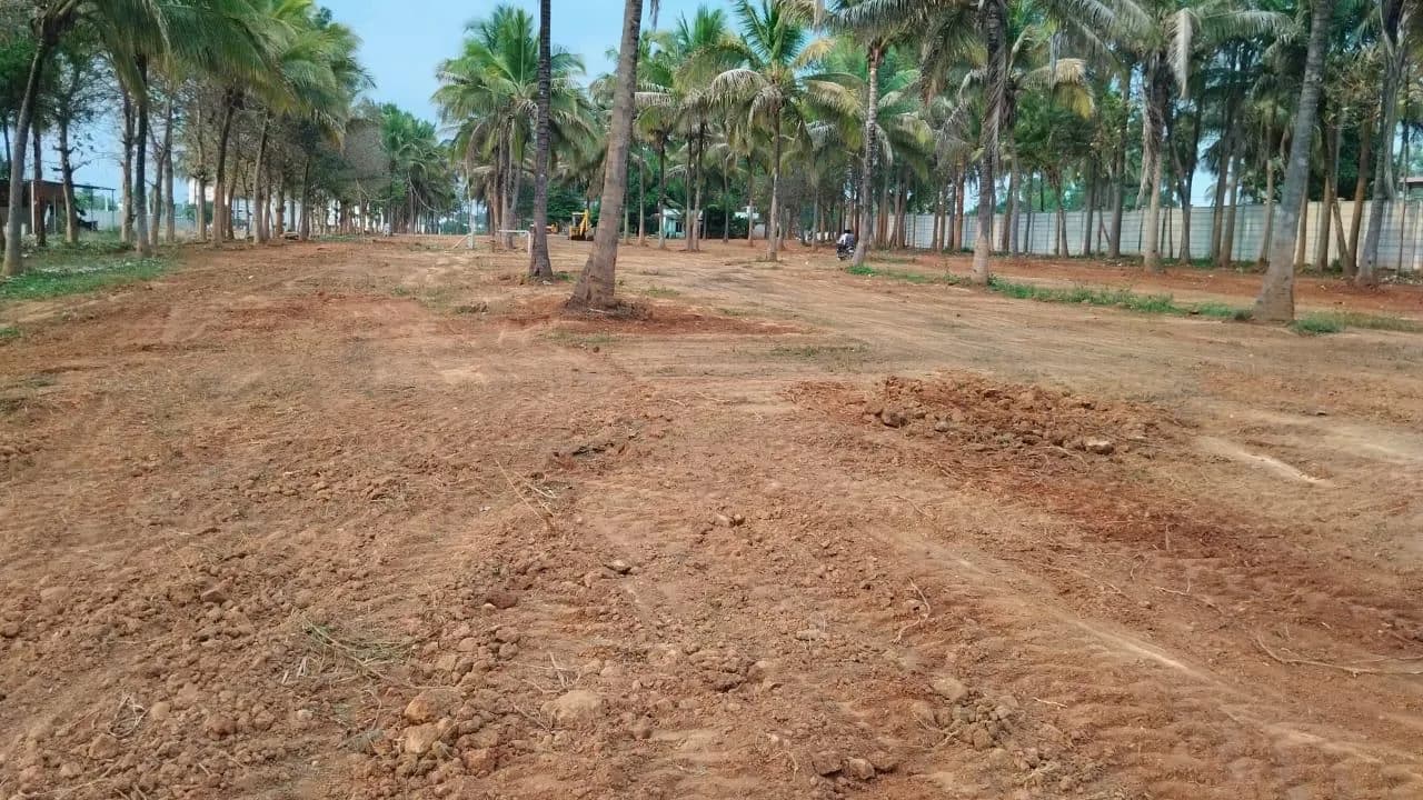 Fresh as a Daisy: Site photo filed with Karnataka RERA
