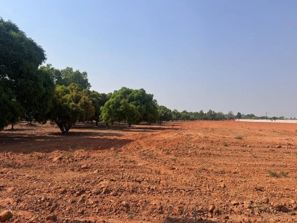Natures Sign By Shreyas: Site photo filed with Karnataka RERA