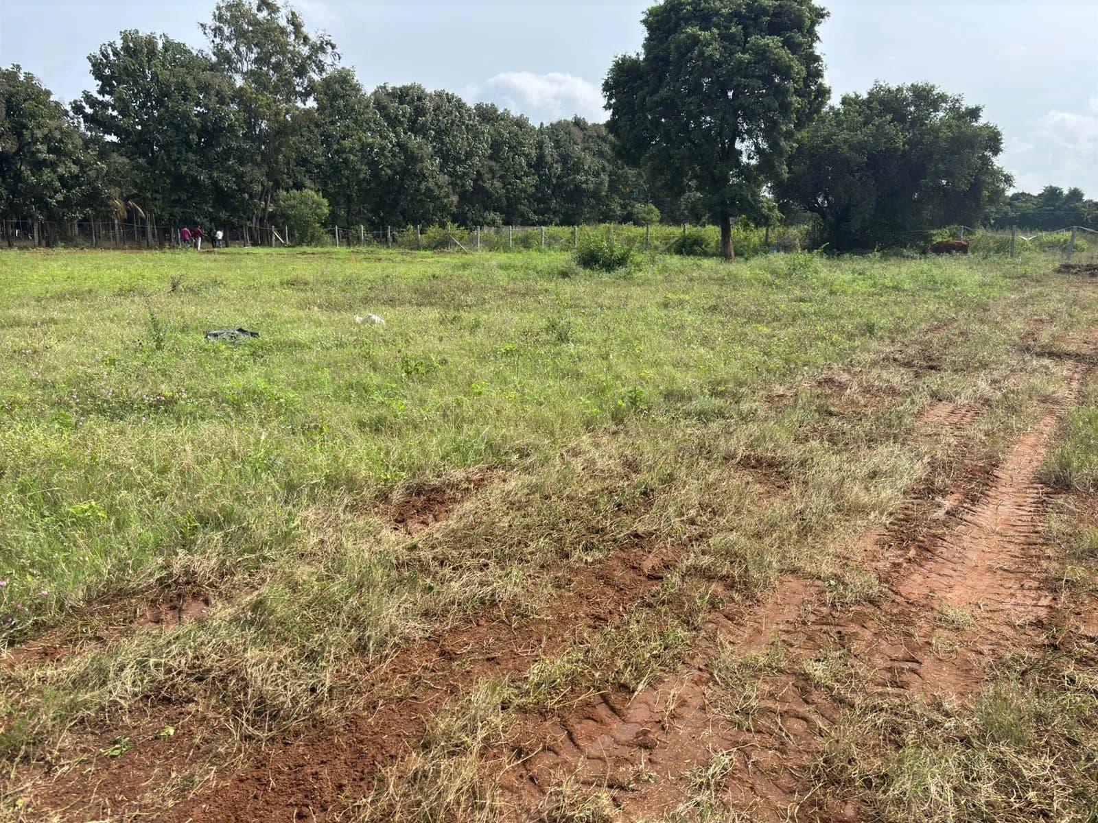 Green Ville: Site photo filed with Karnataka RERA