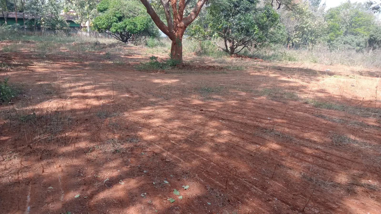 Elegant Mystic Elite: Site photo filed with Karnataka RERA