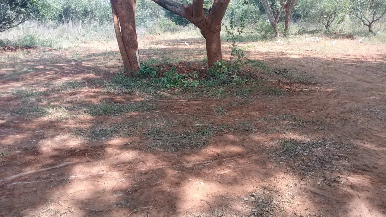 Elegant Mystic Elite: Site photo filed with Karnataka RERA