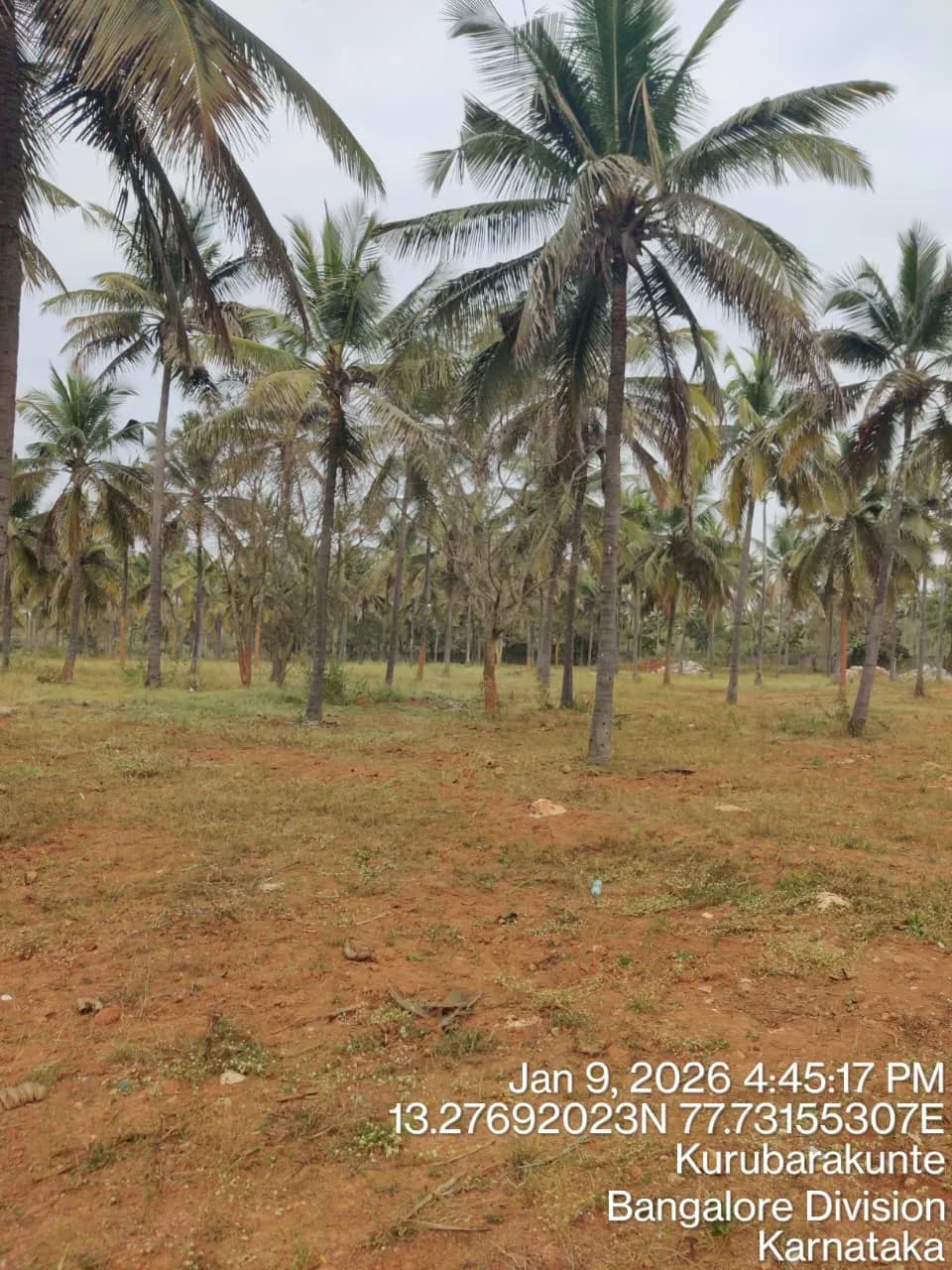 Summers At Orchid Nirvana: Site photo filed with Karnataka RERA