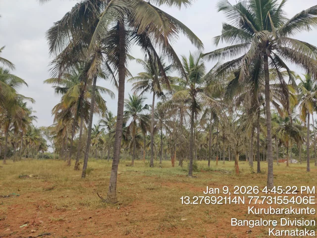 Summers At Orchid Nirvana: Site photo filed with Karnataka RERA